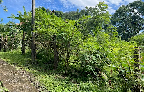 Lote para casitas o casa
