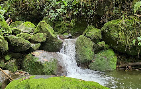 Lotes rurales en Venta en Cordillera Arriba, Chiriquí – Lotes Eco-Agrícolas