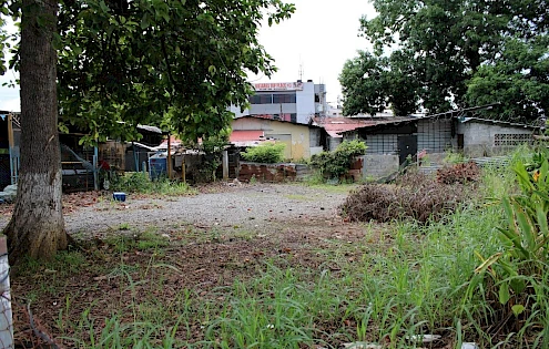 CENTRAL LAND IN DAVID