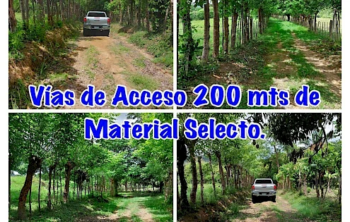 Beautiful farm, with access to all services