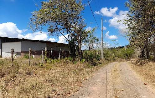 Terreno con galera en venta Via La Arenosa Chorrera