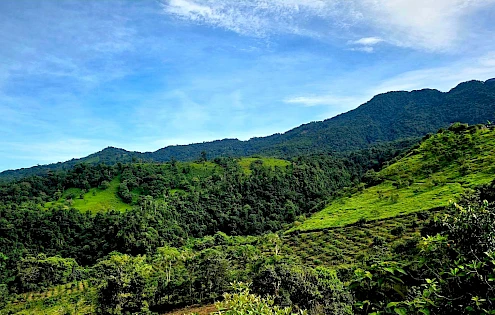 For Sale – 65.9-Hectare Agricultural Farm