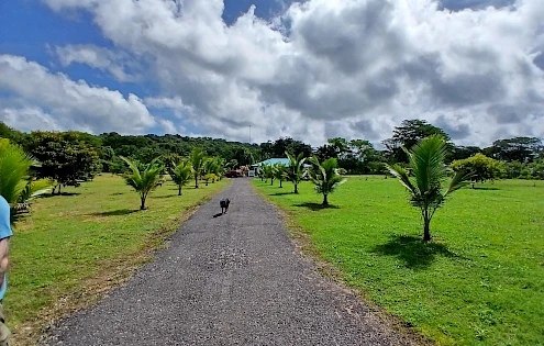Well-organized, welcoming, quietly located finca