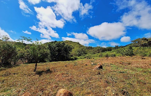 5.9 Hectare Farm for Sale in La Pintada