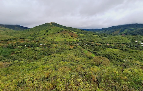 Finca de 5.9 Hectáreas en Venta en La Pintada