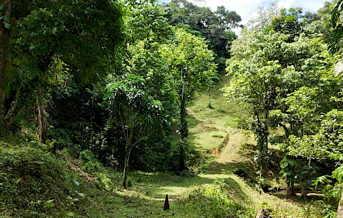 Venta de Finca en Coclesito, La Pintada, Penonomé