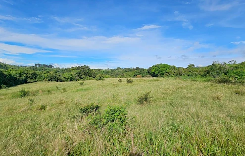 Se Vende Finca Agrícola en Boquerón, Cordillera. Chiriquí