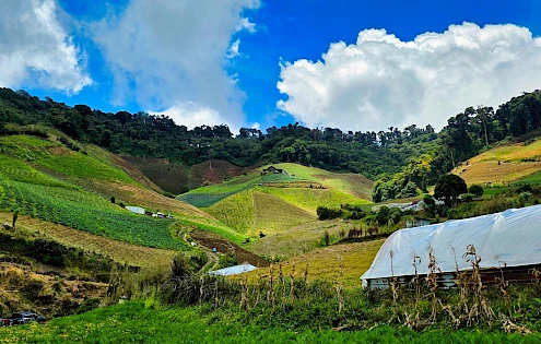 Agricultural Farm for Sale – Cerro Punta, Chiriquí