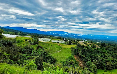 Finca Agrícola en Venta – Rovira, Dolega, Potrerillos