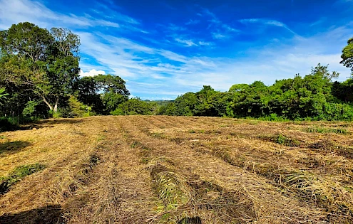Terreno Residencial en Volcán – Oportunidad de Inversión