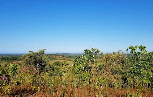 Riverfront Lot with Ocean Views